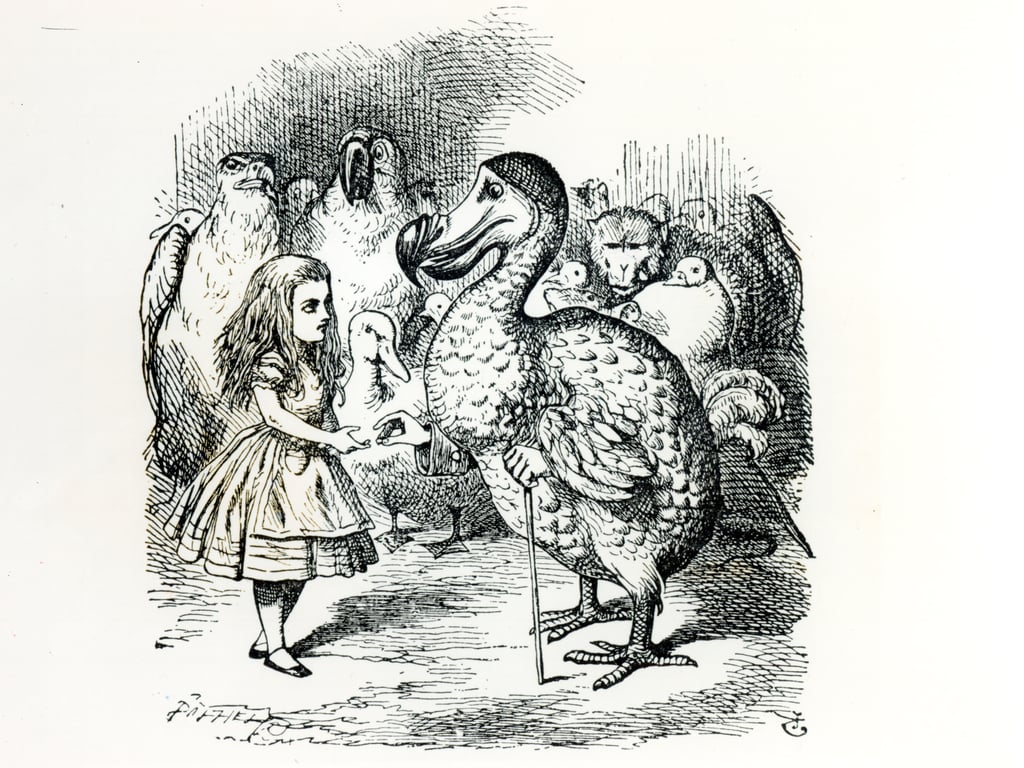 Alice trifft der Dodo, Illustration von Alice im Wunderland, von Lewis Carroll, 1865